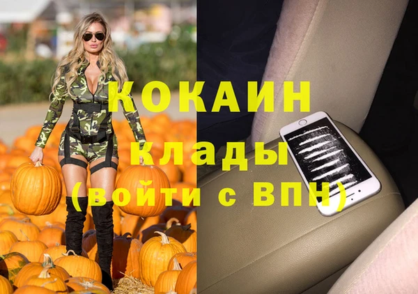 дживик Алзамай