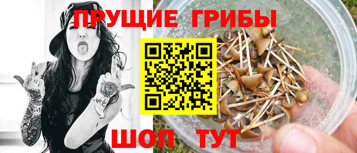 Псилоцибиновые грибы мицелий Невинномысск